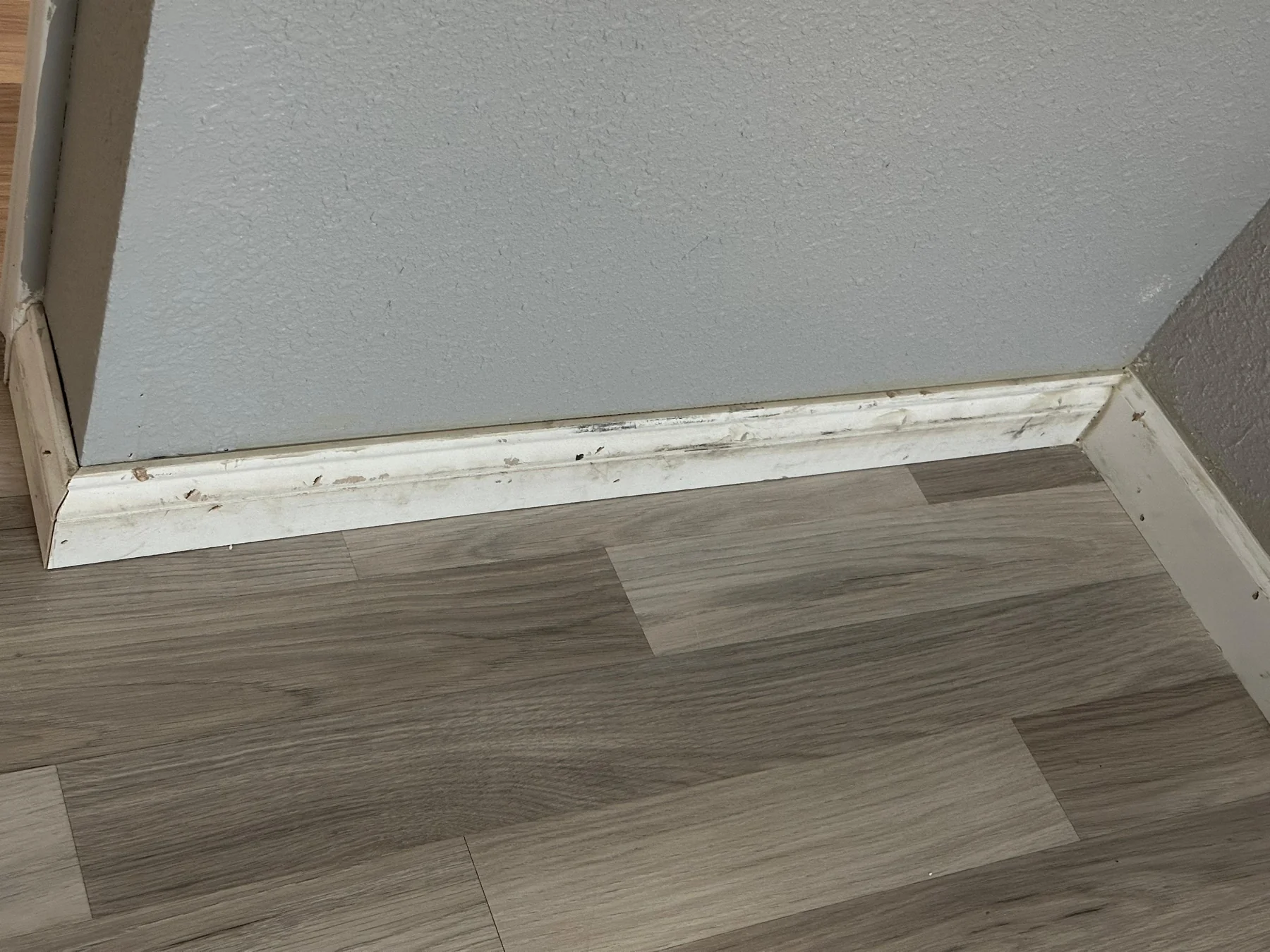 Floor and trim details